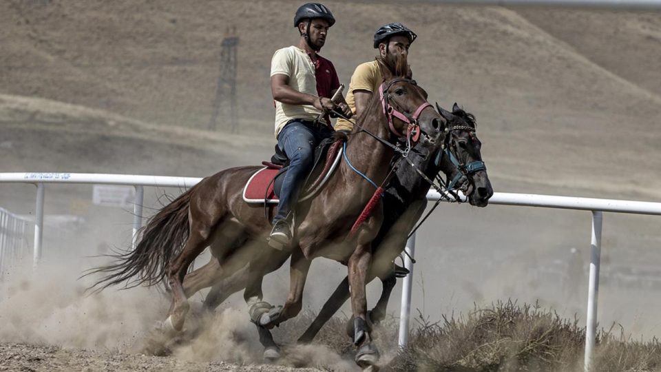 Erzurum’da rahvan atları yarıştı